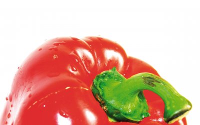 Paprika © elle bilewicz-fotolia.com