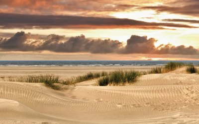 Dünenpanorama auf Norderney © Blickfang - Fotolia